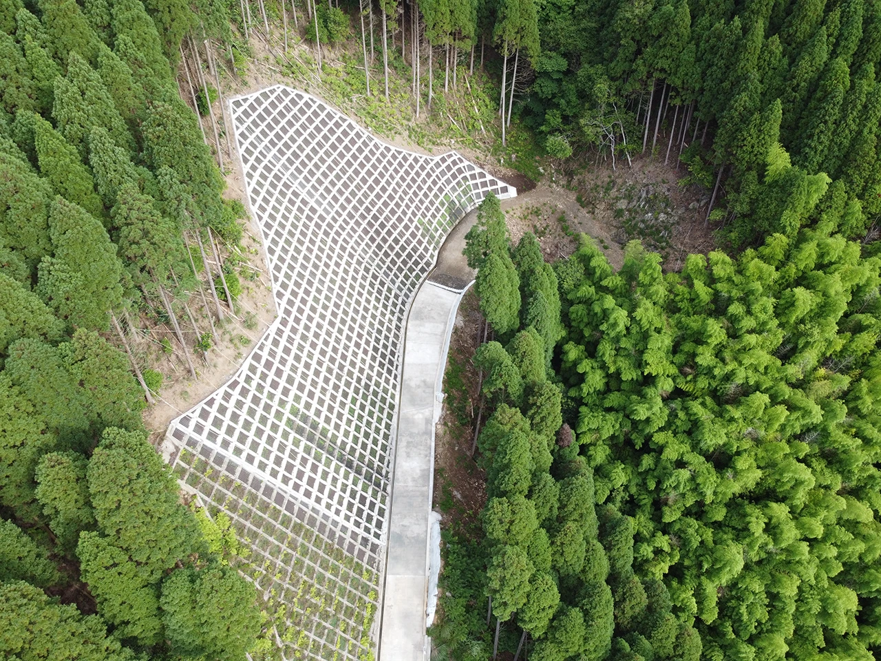 令和4年度 森林管理道開設 横座線1工区(森林資源循環利用林道整備事業)